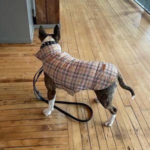 Reversible Dog coat